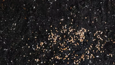 Fertilizer packaging