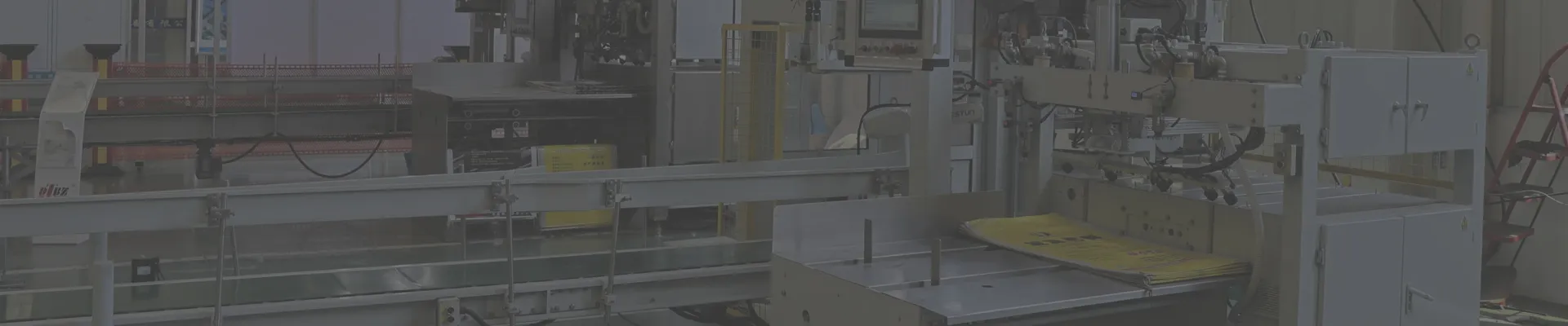 Bag Top Folding Device (Bag Infeed Device)