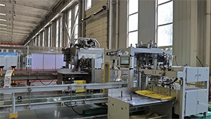 DTB Automatic Open-Mouth Bagging Machine
