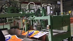 3CM-PE Automatic Open-Mouth Bagging Machine