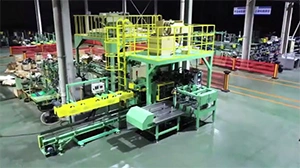 3CM-P Automatic Open-Mouth Bagging Machine